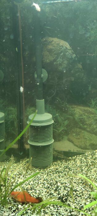 img 1 attached to 🐠 Eheim Pro 4 Plus 250 Canister Filter for Aquariums up to 65 Gallons review by Mateusz Kazana ᠌