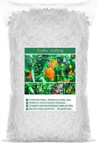img 4 attached to Boost Your Garden'S Growth With ZAUGONTW Heavy-Duty 60Ft Plant Trellis Netting - Flexible Polyester String Net For Vines And Plant Support - 1 Pack
