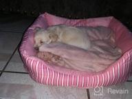 img 1 attached to Cozy TC Fabric Pet Bed For Small Dogs And Cats With Self-Warming Technology - Pink Plush Design By Hollypet review by Wayne Goff