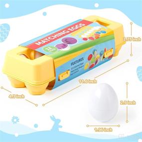 img 2 attached to 🥚 ZenBombs 12 Matching Eggs Learning Toys for Toddlers, Gifts for 3+ year old Preschoolers, Montessori Baby Toys, Enhances Color and Shape Recognition Skills, Educational Toy for Kids
