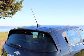 img 1 attached to 📡 AntennaMastsRus - 16 Inch Screw-On Antenna for Toyota Matrix (2003-2013)