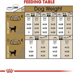 img 1 attached to 17 Lb. Bag Of Royal Canin Labrador Retriever Adult Breed-Specific Dry Dog Food For Optimal Nutrition