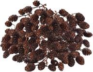 🐰 sungrow alder cones: premium water conditioner for shrimps, enhancing aquariums in big and small tanks -100 pcs per pack! logo