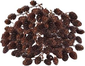 img 4 attached to 🐰 SunGrow Alder Cones: Premium Water Conditioner for Shrimps, Enhancing Aquariums in Big and Small Tanks -100 Pcs per Pack!