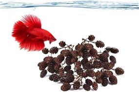 img 3 attached to 🐰 SunGrow Alder Cones: Premium Water Conditioner for Shrimps, Enhancing Aquariums in Big and Small Tanks -100 Pcs per Pack!