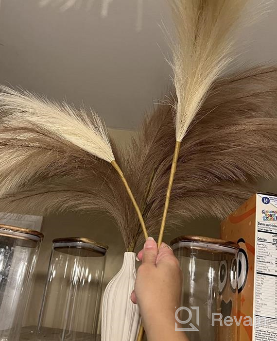 img 1 attached to Add Boho Flair To Your Home With Alishomtll'S 5 Piece 38'' Faux Pampas Grass Bundle! review by David Lamfers
