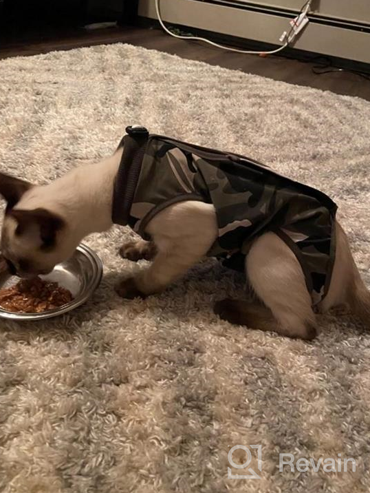 img 1 attached to Cat And Dog Surgical Recovery Suit With E-Collar Alternative - Professional Abdominal Wound Protection And Comfortable Onesie Pajama For Post-Surgery Pets, Ideal For Cats review by Ricky Gilbert