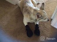 картинка 1 прикреплена к отзыву Protective Hiado Dog Shoes With Nonslip Mesh Rubber Soles To Prevent Scratching And Licking On Hardwood Floors - Black XSmall XS от Patrick Hilzer