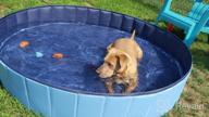img 1 attached to 🐶 Jasonwell Foldable Dog Pet Bath Pool - Collapsible Kiddie Pool for Dogs, Cats, and Kids (48inch.D x 11.8inch.H, Grey) review by Mike Littlejohn