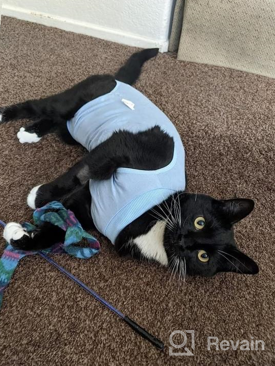 img 1 attached to Cat Surgery Recovery Suit: Surgical Abdominal Wound Protection For Indoor Pets - E-Collar Alternative Post-Surgery Pajama Suit review by John Wei