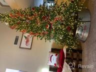 картинка 1 прикреплена к отзыву Upgrade Your Christmas Tree With Hallops Galvanized Tree Collar - Adjustable Metal Skirt For Large To Small Trees (White, Standard) от Greg Birchfield