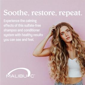 img 2 attached to 🌿 Enhanced Scalp Wellness with Malibu C Collection