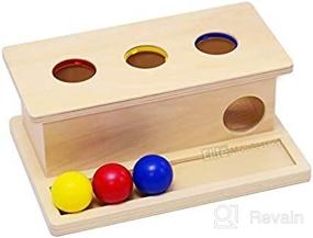 img 2 attached to 🧠 Enhance Cognitive Skills with Elite Montessori Object Permanence Ball Push Toy for Toddlers and Preschoolers (1 Year Old and Up)