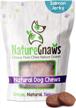 nature gnaws salmon treats for dogs - fish and sweet potato chew treats - simple natural delicious dog chews - tasty training reward logo