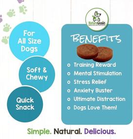 img 1 attached to Nature Gnaws Salmon Treats For Dogs - Fish And Sweet Potato Chew Treats - Simple Natural Delicious Dog Chews - Tasty Training Reward