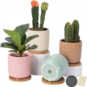 img 4 attached to Set Of 4 Adorable Multicolor 4 Inch Ceramic Plant Pots With Bamboo Saucer & Drainage Hole For Succulents And Indoor Plants