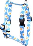 🐾 stylish and secure: yellow dog design blue daisy roman style h dog harness logo