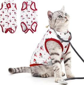 img 4 attached to 🐱 MORVIGIVE Cat Recovery Suit: Neuter Spay Kitten Cone E-Collar Bandage Alternative - Ideal for Cats' Postsurgical Wear, Prevents Licking - After Surgery Bodysuit for Abdominal Wounds & Skin Diseases