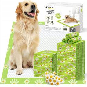 img 4 attached to Large CROCI Puppy Pads With Daisy Fragrance For Dogs - 40 Count Pack Of Highly-Absorbent, Leak-Proof And Quick-Drying Odor-Eliminating Pee Pads. Can Hold Up To 8 Cups Of Liquid!