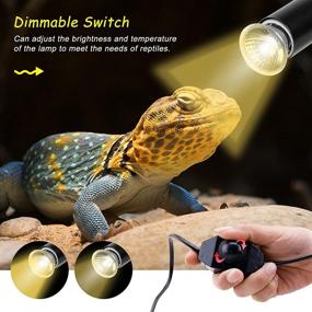 img 2 attached to 🐍 2-Pack Dimmable Reptile Clamp Heat Lamp Holder with 3-Pack 30W Sun Basking Spot Lamp, Adjustable Clamp Lamp Stand for Aquarium, Reptiles, Lizard, Turtle, Snake - Black