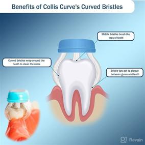 img 2 attached to 🦷 Medium Three Toothbrush by Collis Curve