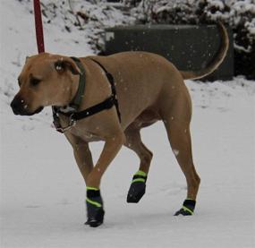 img 2 attached to 🐾 Healers Dog Boots: Non Slip Paw Protection with Reflective Sole, Black XL - 1 Pair