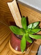 img 1 attached to Set Of 8 2.5 Inch Ceramic Ice Crack Succulent Plant Pots With Bamboo Tray For Home And Office Decor - Ideal For Cacti, Flowers, And Mini Plants (Plants Not Included) review by Dinero Bentz