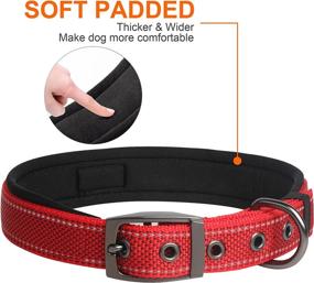 img 1 attached to 🐶 Fida Heavy Duty Dog Collar: Comfortable Soft Neoprene Padded, Reflective Nylon Adjustable Pet Collar with Durable Metal Belt Buckle - Suitable for Small to X-Large Breeds