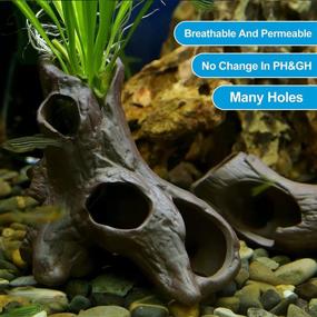 img 2 attached to 🐠 Ceramic LYL LEYOULAND Aquarium Hideaway: Tree Hole Shelter for Fish Tank - Stunning Betta/Shrimp Cave & Cichlid Stone Decoration