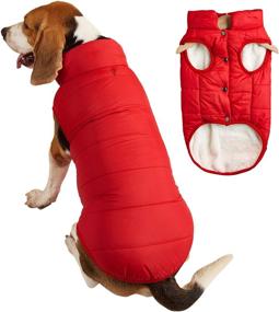 img 4 attached to Jecikelon Dog Jacket Puppy Coat Dogs best on Apparel & Accessories