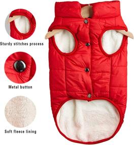 img 1 attached to Jecikelon Dog Jacket Puppy Coat Dogs best on Apparel & Accessories