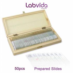 img 3 attached to Labvida 50Pcs Microscope Specimen Slides In Wooden Storage Box - LVQ091