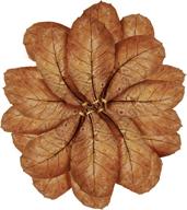 sungrow 8-inch catappa indian almond leaves for freshwater shrimps and tropical fish - enhance aquarium health and vitality логотип