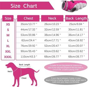 img 3 attached to 🐾 FUAMEY Padded Vest Dog Jacket - Reflective, Windproof & Warm Winter Coat for Dogs - Ideal Cold Weather Apparel for Small, Medium, and Large Dogs