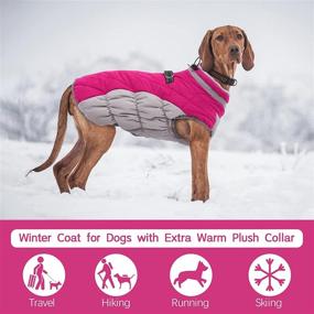 img 2 attached to 🐾 FUAMEY Padded Vest Dog Jacket - Reflective, Windproof & Warm Winter Coat for Dogs - Ideal Cold Weather Apparel for Small, Medium, and Large Dogs