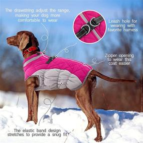 img 1 attached to 🐾 FUAMEY Padded Vest Dog Jacket - Reflective, Windproof & Warm Winter Coat for Dogs - Ideal Cold Weather Apparel for Small, Medium, and Large Dogs