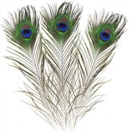 10pcs natural peacock feathers 16-18in for wedding decor, christmas decoration, halloween house decor логотип
