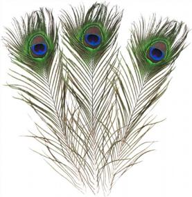 img 4 attached to 10Pcs Natural Peacock Feathers 16-18In For Wedding Decor, Christmas Decoration, Halloween House Decor