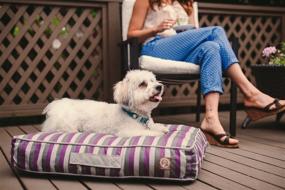 img 2 attached to 🍊 One for Pets Siesta Indoor/Outdoor Pillow Pet Bed, Medium, Orange: Ultimate Comfort for Your Furry Friend in Vibrant Orange!