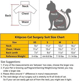 img 3 attached to Kitipcoo Professional Abdominal Alternative Recommended Cats