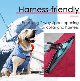 img 2 attached to Cozy And Waterproof ThinkPet Dog Winter Coats - Reversible, Windproof, And Reflective Jacket For Small, Medium, And Large Dogs With Thick Padded Warmth