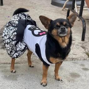 img 4 attached to Стильное и шикарное платье для собак Petitebella Black Skull Face - идеально подходит для щенков и маленьких собак (белый/дамасский, средний)