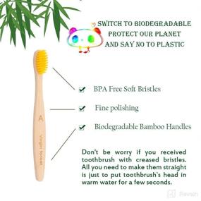 img 3 attached to 🦷 BPA-Free Biodegradable Children's Toothbrushes with Gentle Bristles for Optimal Oral Hygiene