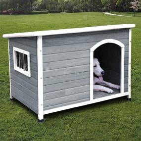 img 4 attached to Outdoor Weatherproof Insulated Wooden Dog Houses with Door - Cute Wood Dog Houses for the Outdoors