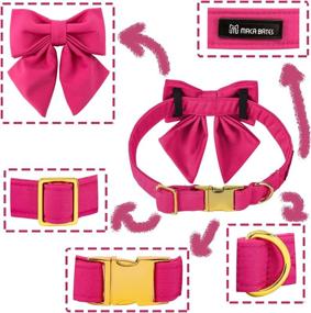 img 3 attached to Premium Maca Bates Dog Collar with Bow - Stylish Sailor Bow Tie Collar in 12 Solid Colors for Small, Medium & Large Dogs - Adjustable & Durable with Golden Metal Buckle