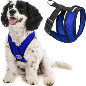 img 4 attached to Gooby Comfort X Head In Harness - Blue, Medium - No Pull Small Dog Harness, Patented Choke-Free X Frame - Perfect On The Go Dog Harness For Medium Dogs No Pull Or Small Dogs For Indoor And Outdoor Use