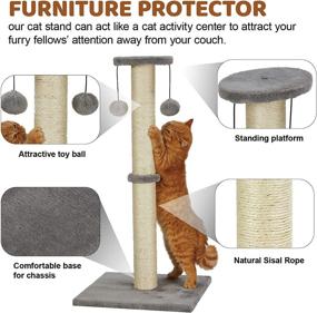 img 3 attached to 🐱 PEEKAB 32" Tall Cat Scratching Post: Sisal Rope Scratcher Tree with Plush Platform and Interactive Ball Toys