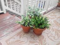 img 1 attached to Transform Your Space With GTIDEA'S Lifelike Artificial Morning Glory Bushes review by John Kachinosky
