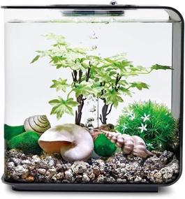 img 3 attached to 🌞 biOrb Decor Set 15L Summer – Small, Multi-Colored