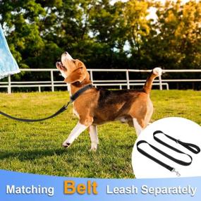 img 2 attached to Taglory Reflective Adjustable Dog Collars For Puppy Small Medium Large Dogs, Thin Nylon Webbing And Quick Release Plastic Buckle(Black Medium)